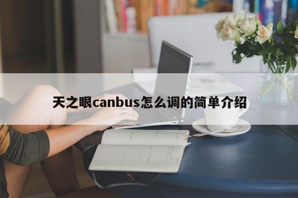 天之眼canbus怎么调的简单介绍