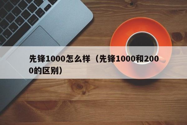 先锋1000怎么样（先锋1000和2000的区别）