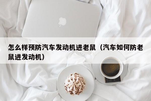 怎么样预防汽车发动机进老鼠（汽车如何防老鼠进发动机）