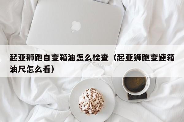 起亚狮跑自变箱油怎么检查（起亚狮跑变速箱油尺怎么看）