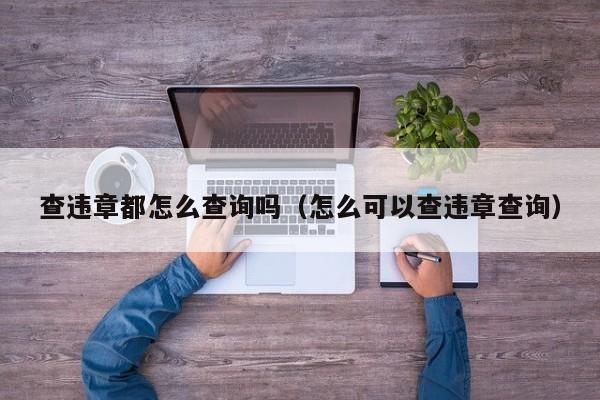 查违章都怎么查询吗（怎么可以查违章查询）