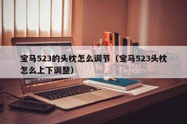 宝马523的头枕怎么调节（宝马523头枕怎么上下调整）