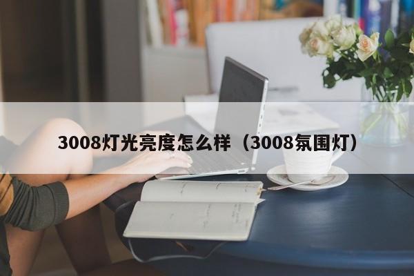 3008灯光亮度怎么样（3008氛围灯）