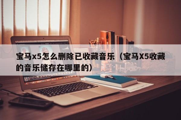 宝马x5怎么删除已收藏音乐（宝马X5收藏的音乐储存在哪里的）