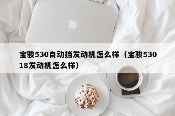 宝骏530自动挡发动机怎么样（宝骏53018发动机怎么样）