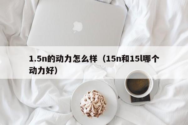 1.5n的动力怎么样（15n和15l哪个动力好）