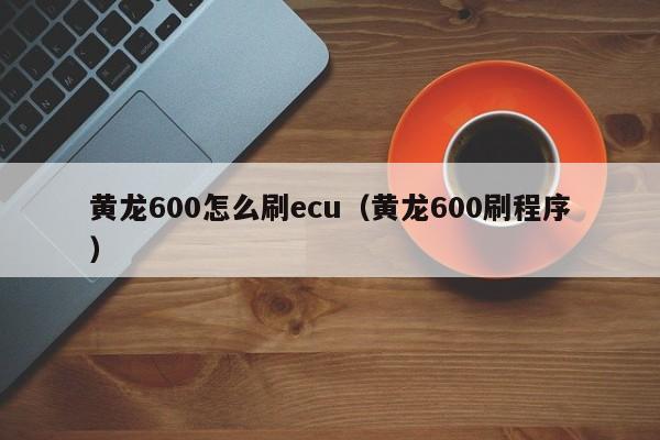 黄龙600怎么刷ecu（黄龙600刷程序）