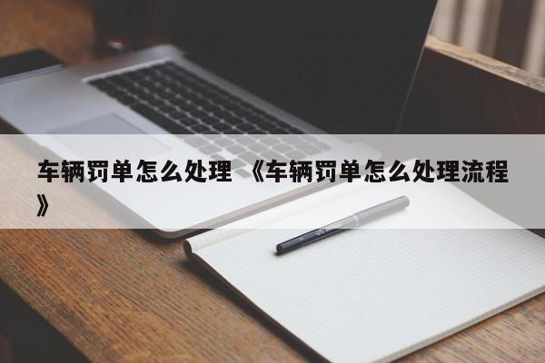 车辆罚单怎么处理 《车辆罚单怎么处理流程》