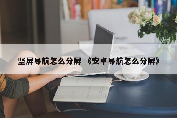 坚屏导航怎么分屏 《安卓导航怎么分屏》