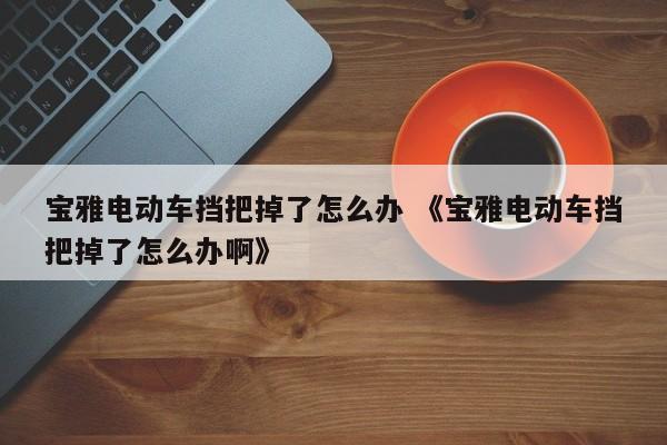 宝雅电动车挡把掉了怎么办 《宝雅电动车挡把掉了怎么办啊》