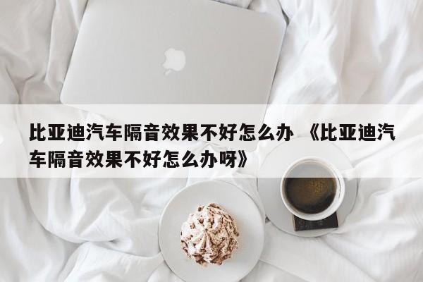 比亚迪汽车隔音效果不好怎么办 《比亚迪汽车隔音效果不好怎么办呀》