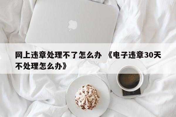 网上违章处理不了怎么办 《电子违章30天不处理怎么办》