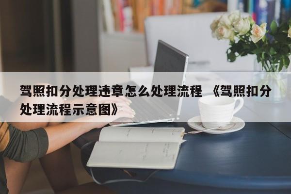 驾照扣分处理违章怎么处理流程 《驾照扣分处理流程示意图》