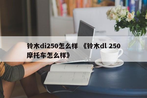 铃木di250怎么样 《铃木dl 250摩托车怎么样》