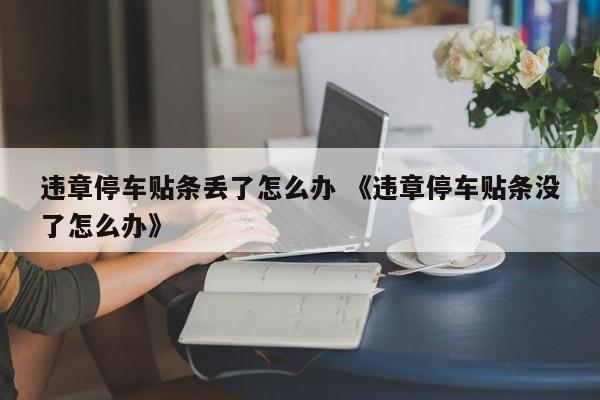 违章停车贴条丢了怎么办 《违章停车贴条没了怎么办》