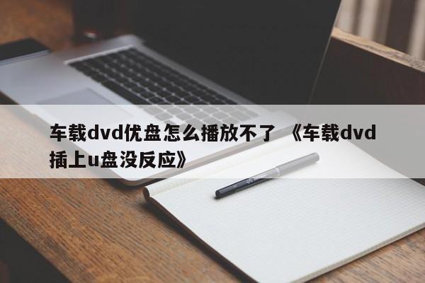 车载dvd优盘怎么播放不了 《车载dvd插上u盘没反应》