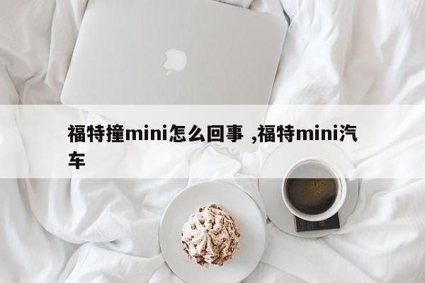 福特撞mini怎么回事 ,福特mini汽车