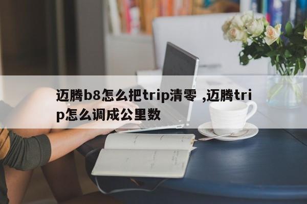 迈腾b8怎么把trip清零 ,迈腾trip怎么调成公里数