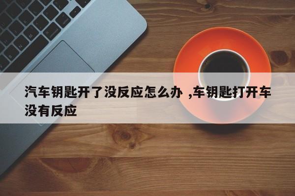 汽车钥匙开了没反应怎么办 ,车钥匙打开车没有反应