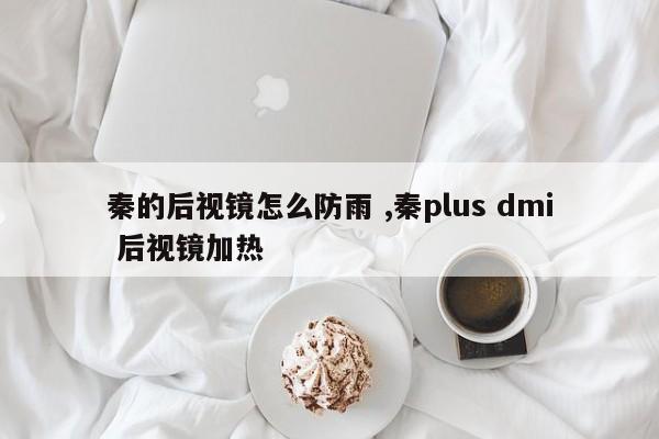 秦的后视镜怎么防雨 ,秦plus dmi 后视镜加热