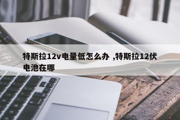 特斯拉12v电量低怎么办 ,特斯拉12伏电池在哪