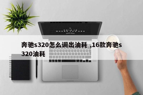 奔驰s320怎么调出油耗 ,16款奔驰s320油耗