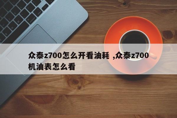 众泰z700怎么开看油耗 ,众泰z700机油表怎么看