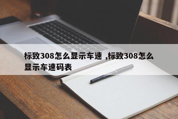 标致308怎么显示车速 ,标致308怎么显示车速码表