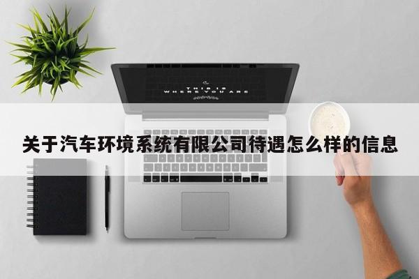 关于汽车环境系统有限公司待遇怎么样的信息