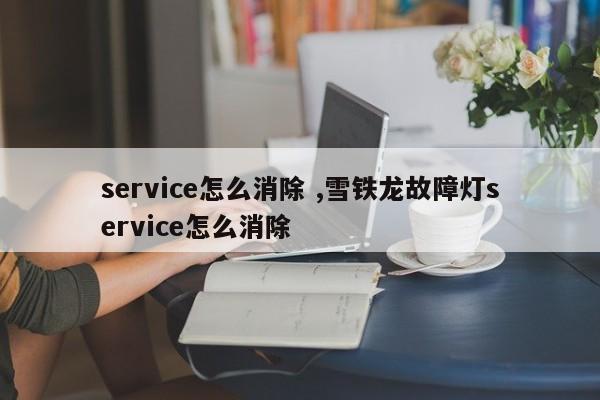 service怎么消除 ,雪铁龙故障灯service怎么消除