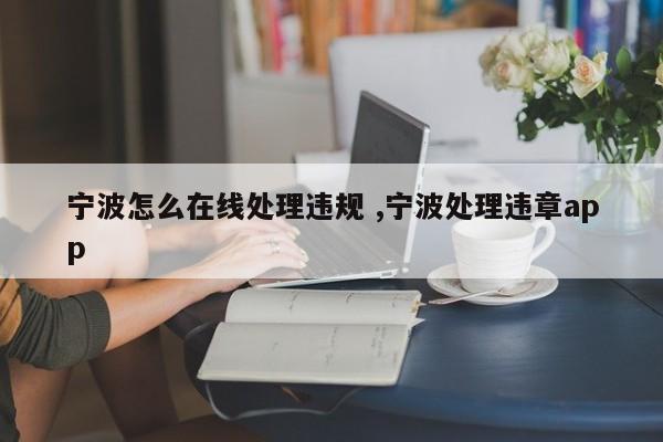 宁波怎么在线处理违规 ,宁波处理违章app