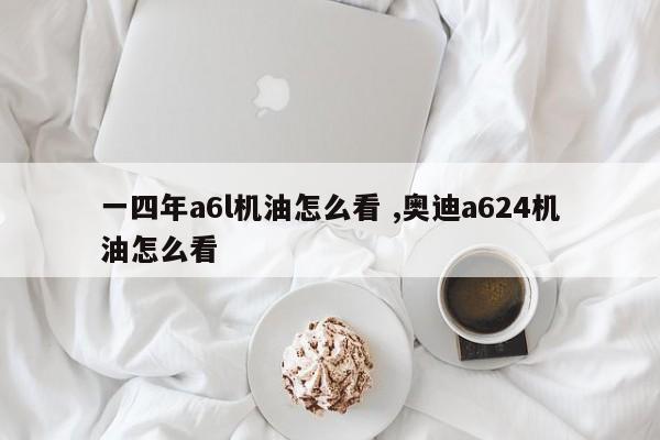 一四年a6l机油怎么看 ,奥迪a624机油怎么看