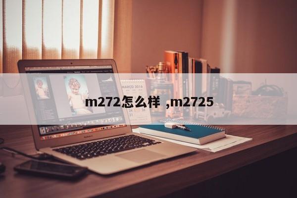 m272怎么样 ,m2725