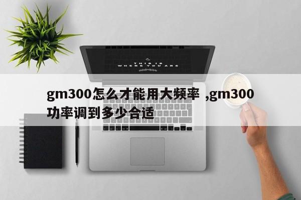 gm300怎么才能用大频率 ,gm300功率调到多少合适