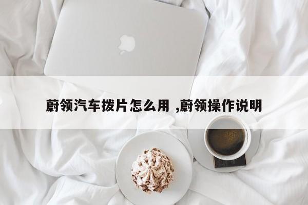 蔚领汽车拨片怎么用 ,蔚领操作说明