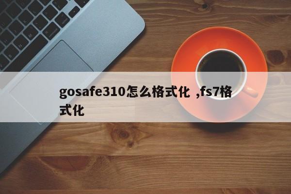 gosafe310怎么格式化 ,fs7格式化