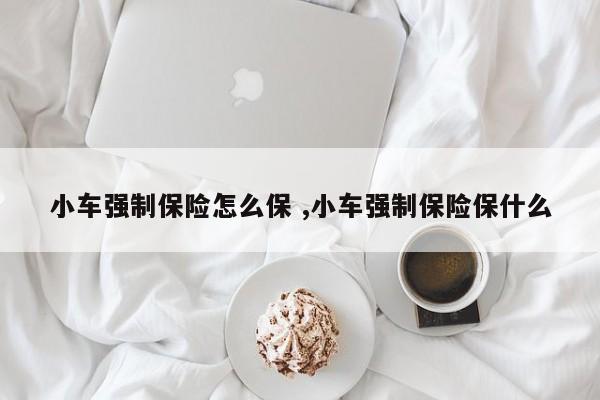 小车强制保险怎么保 ,小车强制保险保什么