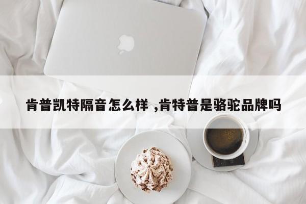 肯普凯特隔音怎么样 ,肯特普是骆驼品牌吗