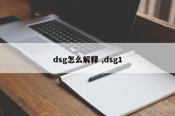 dsg怎么解释 ,dsg1