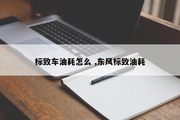 标致车油耗怎么 ,东风标致油耗