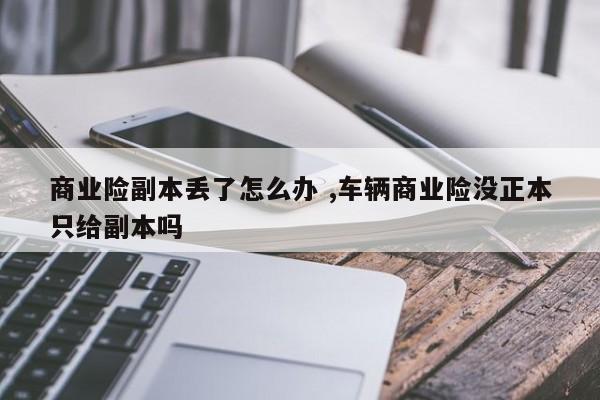 商业险副本丢了怎么办 ,车辆商业险没正本只给副本吗