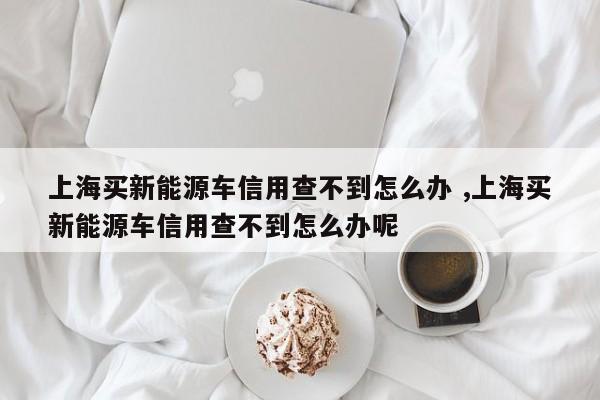 上海买新能源车信用查不到怎么办 ,上海买新能源车信用查不到怎么办呢