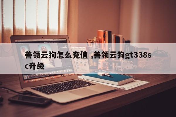 善领云狗怎么充值 ,善领云狗gt338sc升级