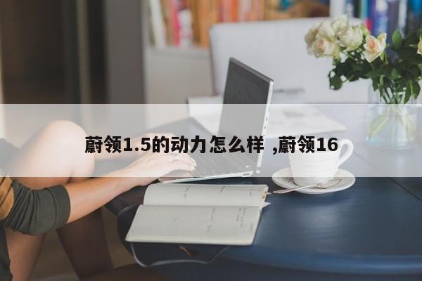 蔚领1.5的动力怎么样 ,蔚领16