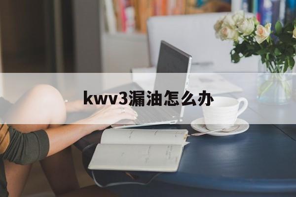 kwv3漏油怎么办(避震器kwv3调整方法)