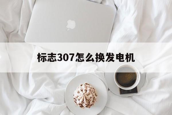 标志307怎么换发电机(标志307怎么换发电机皮带视频)