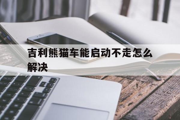 关于吉利熊猫车能启动不走怎么解决的信息