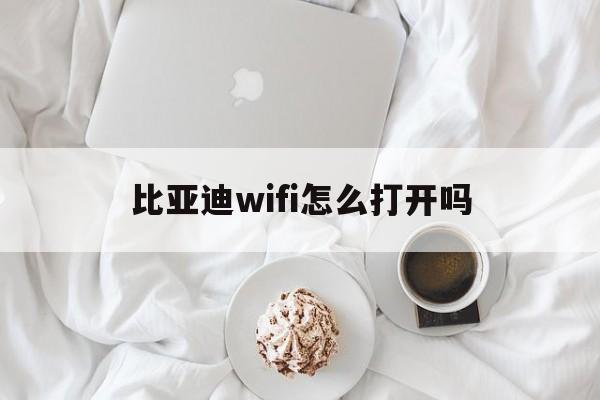 比亚迪wifi怎么打开吗(比亚迪的热点和wifi怎么使用)