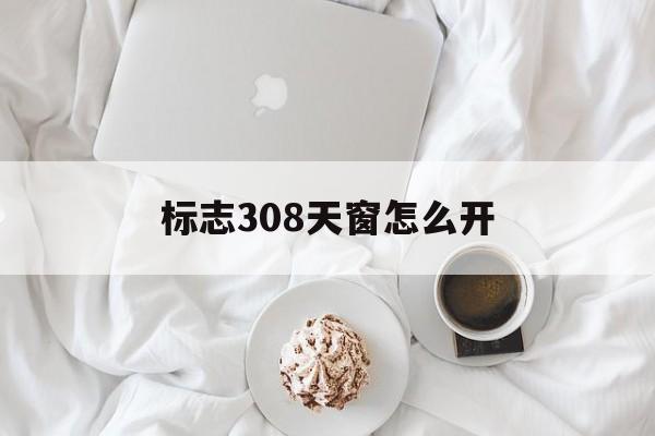 标志308天窗怎么开(标志308天窗怎么开的)