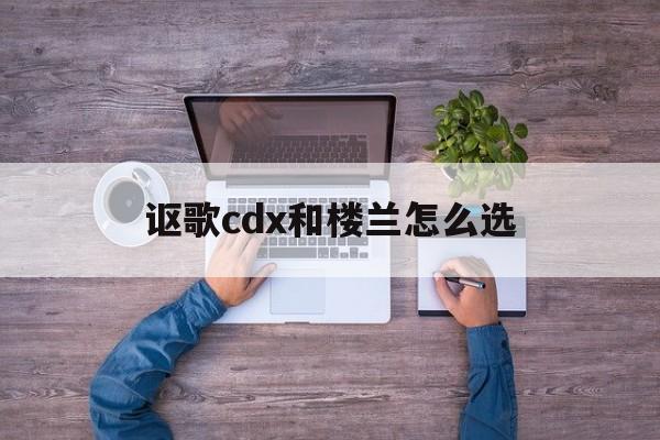 讴歌cdx和楼兰怎么选(讴歌rdx和cdx哪个高级)